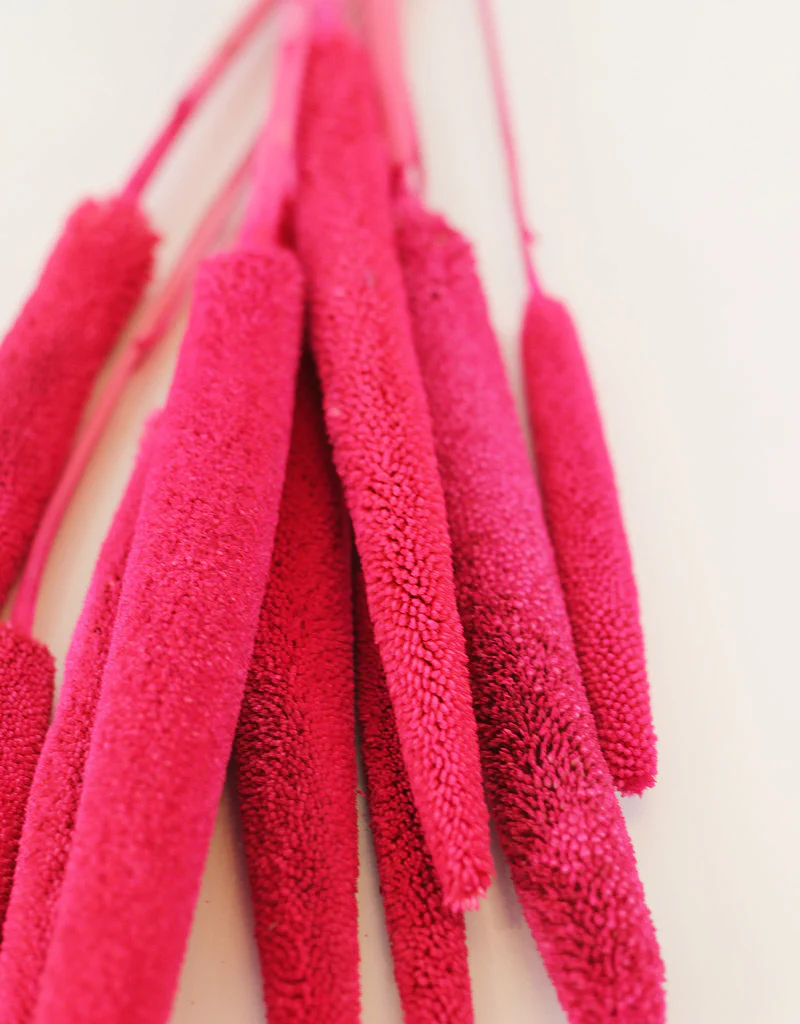 Dried Babala - Cerise Hot Pink Bunch, 65 cm - Image 3