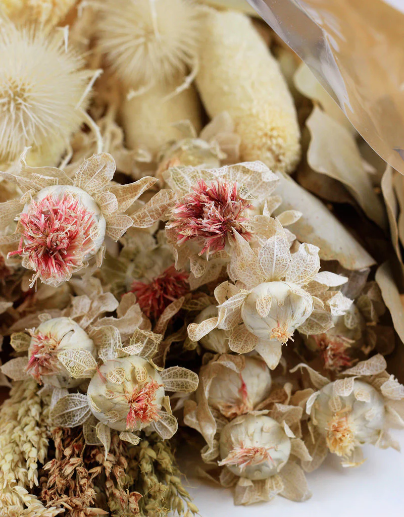 Dried Bouquet with Bleached Carth/Thistle, 60 cm - Image 3