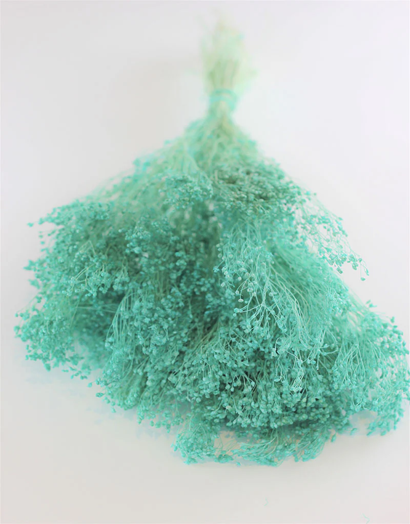 Dried Broom Bloom - Aqua Blue Bunch, 100 grams, 50 cm - Image 3