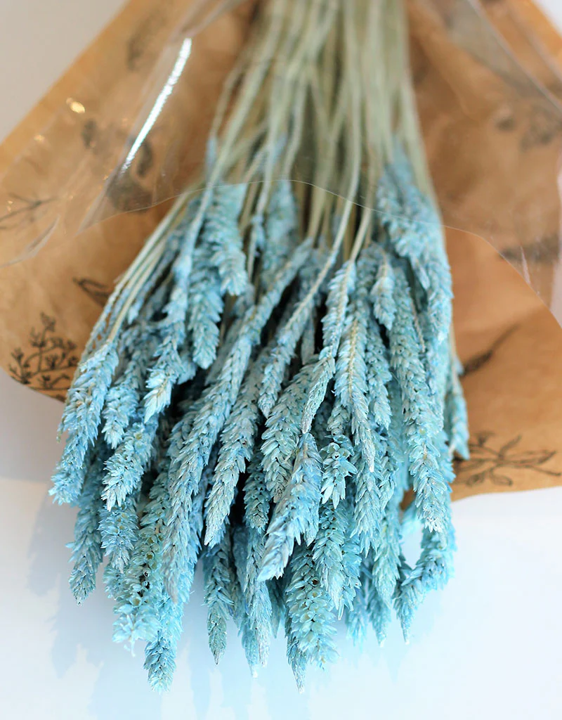 Dried Celosia - Frosted Blue Bunch, 65 cm - Image 3