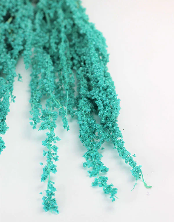 Preserved Crispus Rumex - Aqua Blue Bunch, 70 cm - Image 3