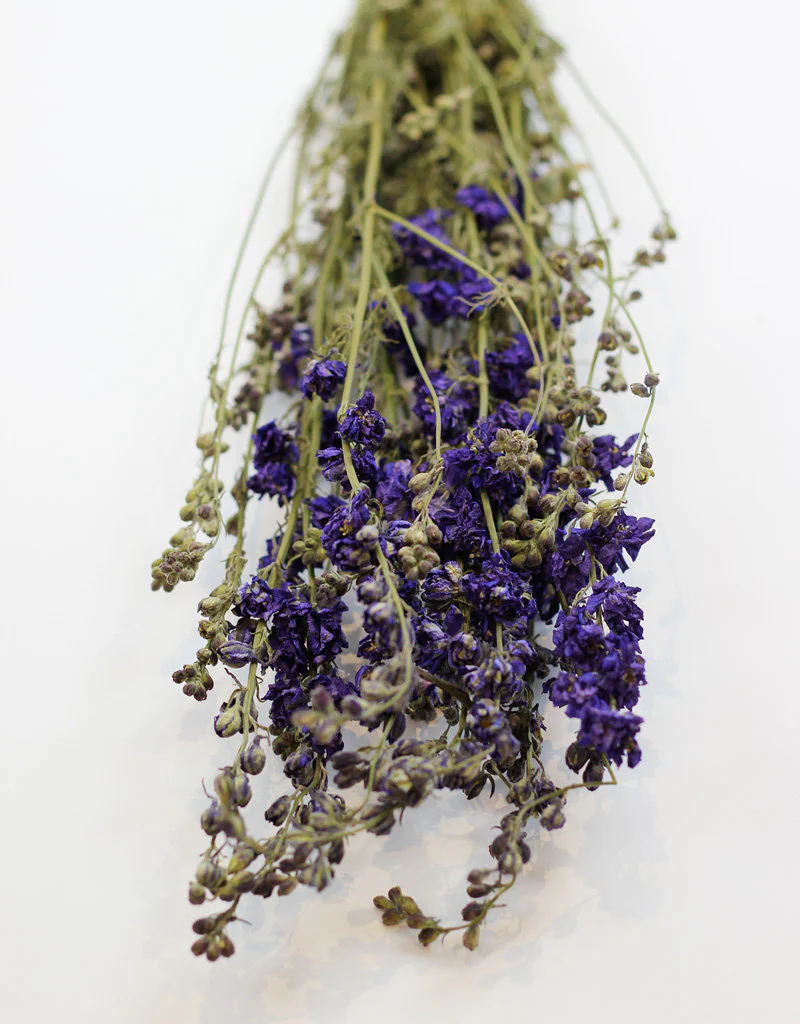 Dried Delphinium Larkspur - Blue Bunch, 70 cm - Image 5