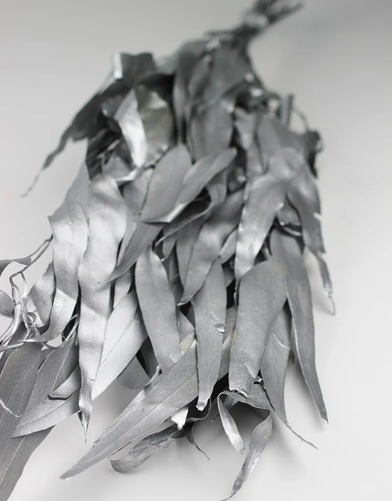 Dried Eucalyptus - Silver Bunch, 50 cm - Image 3