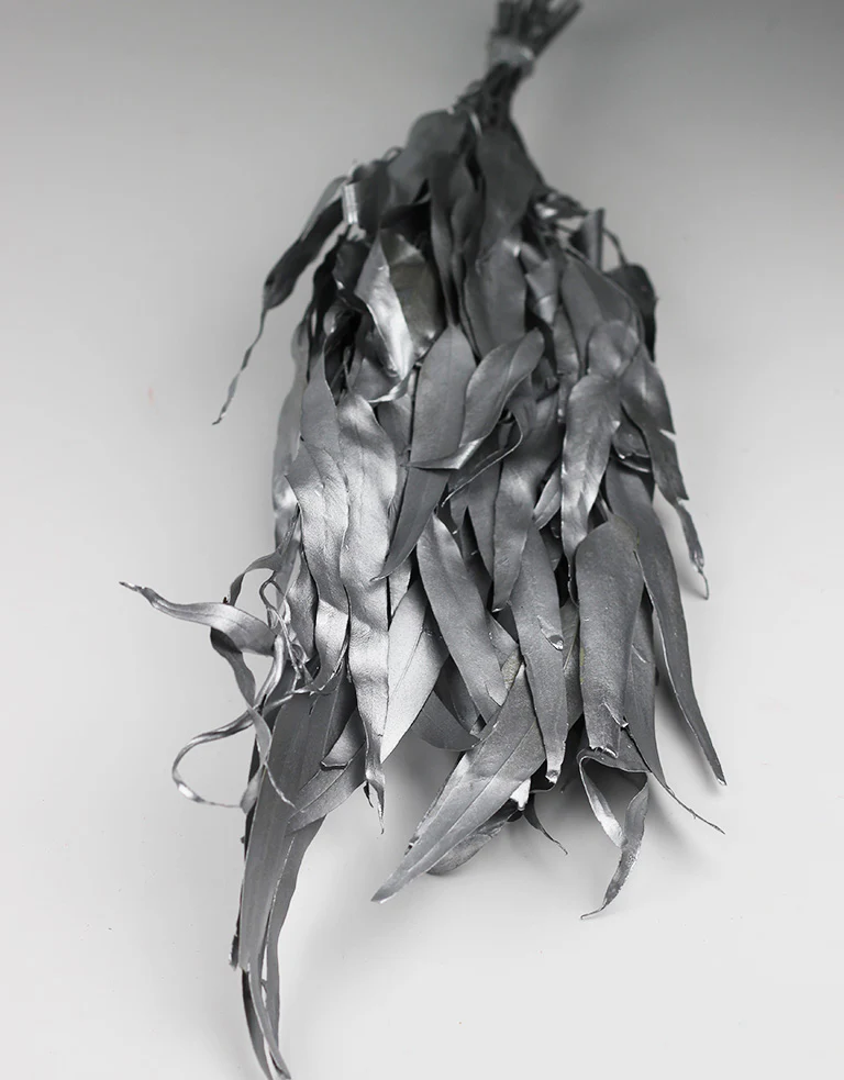 Dried Eucalyptus - Silver Bunch, 50 cm - Image 4
