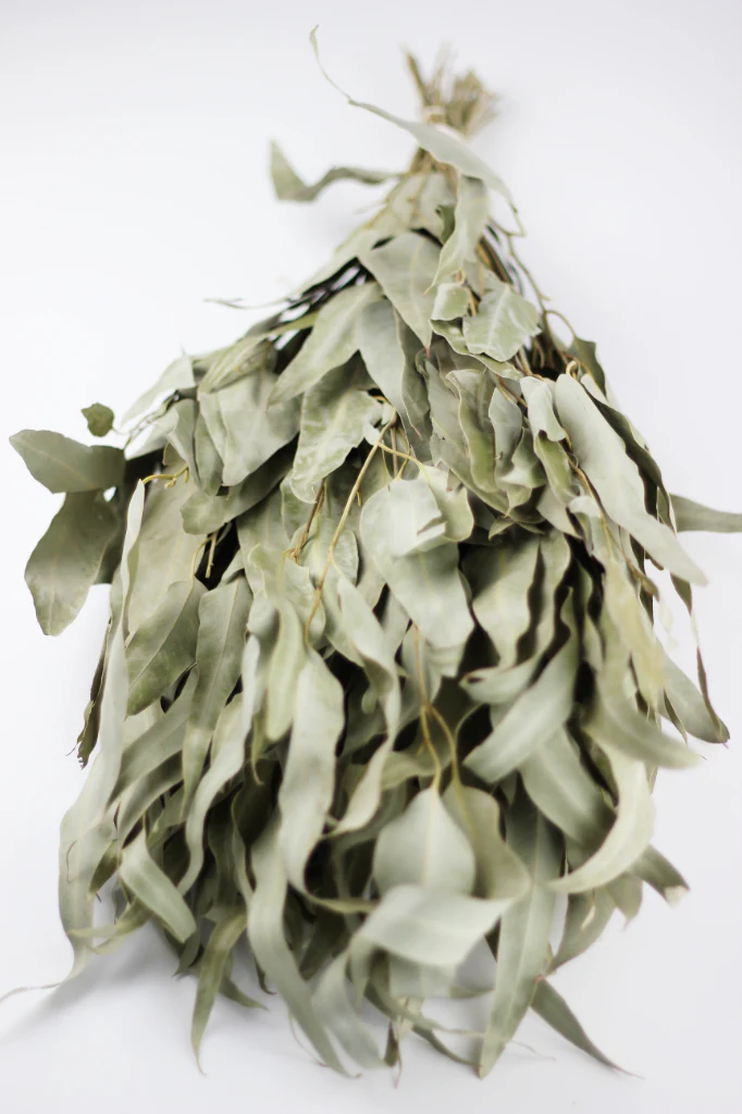 Dried Eucalyptus Stems - Wild Leaves bunch, Sage Green, 55 cm - Image 3