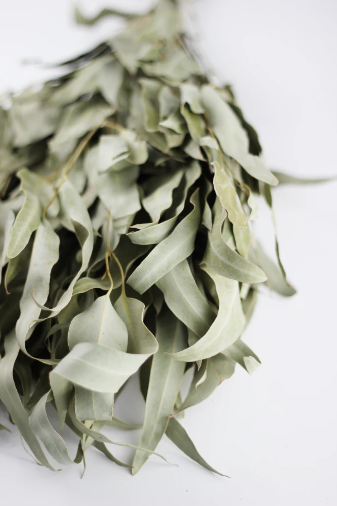 Dried Eucalyptus Stems - Wild Leaves bunch, Sage Green, 55 cm - Image 4
