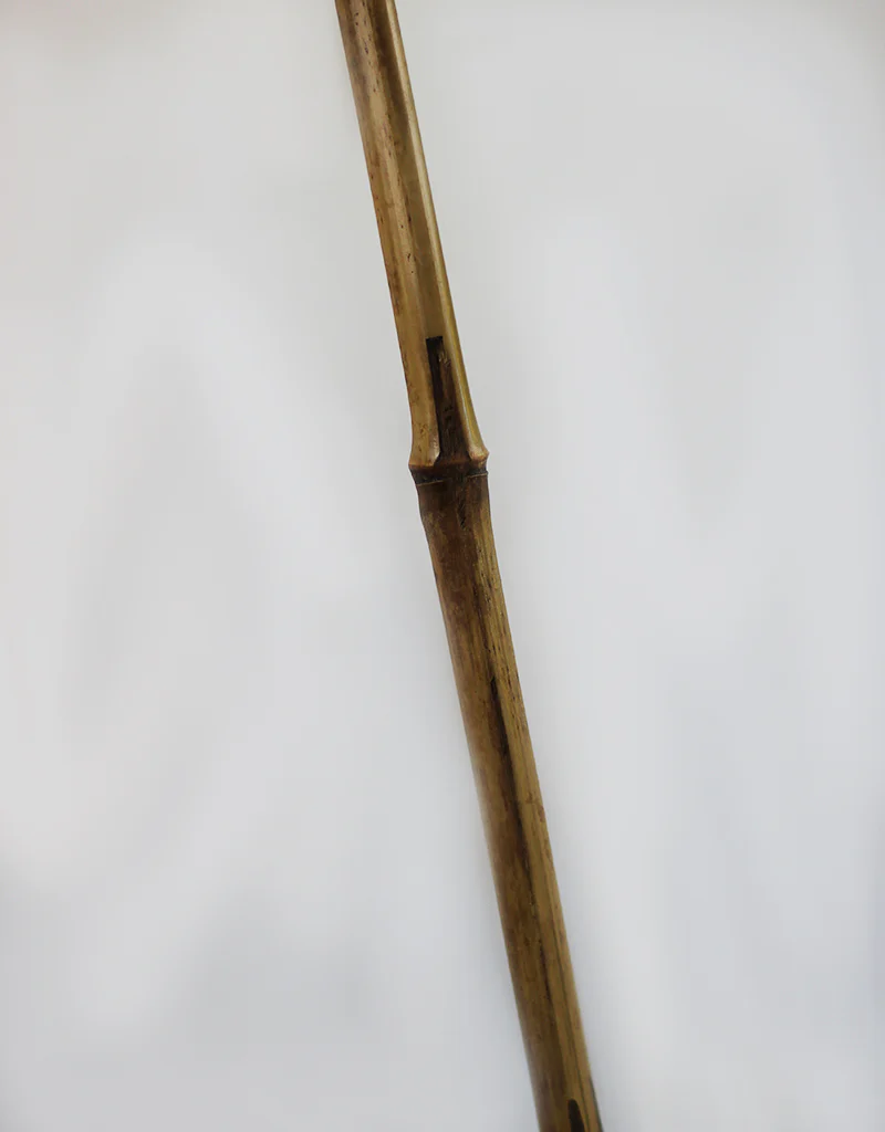 Dried Grass Fan Palm - Bleached, 120 cm length, 35 cm, Plume length 55 cm - Image 5