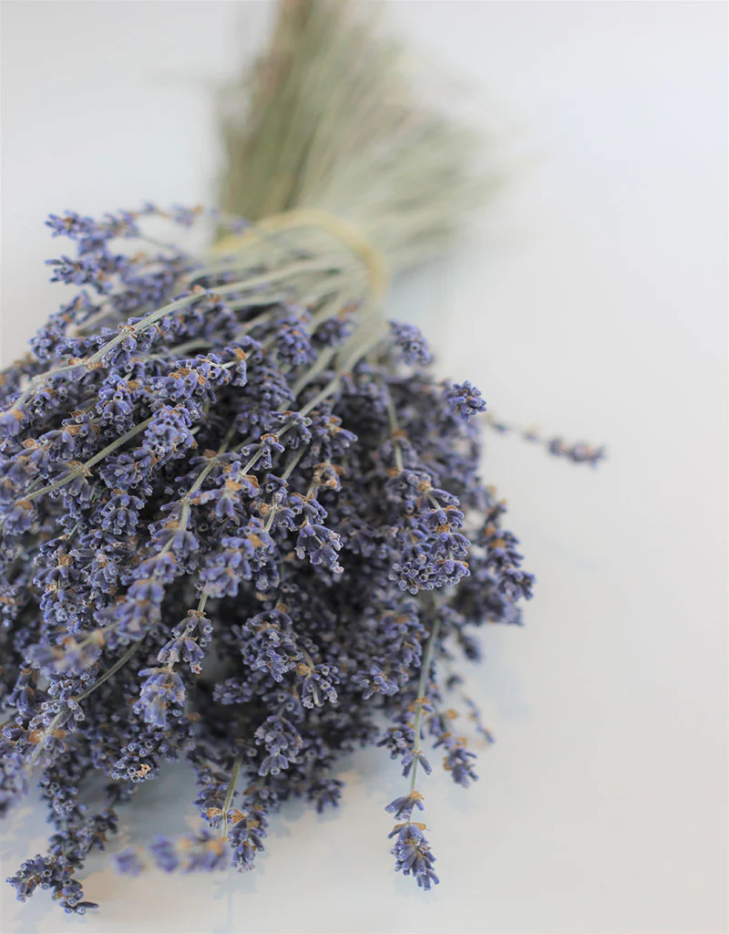 Dried Lavender Flowers Stems - Dark Blue Bunch, 100 grams, 45 cm - Image 3