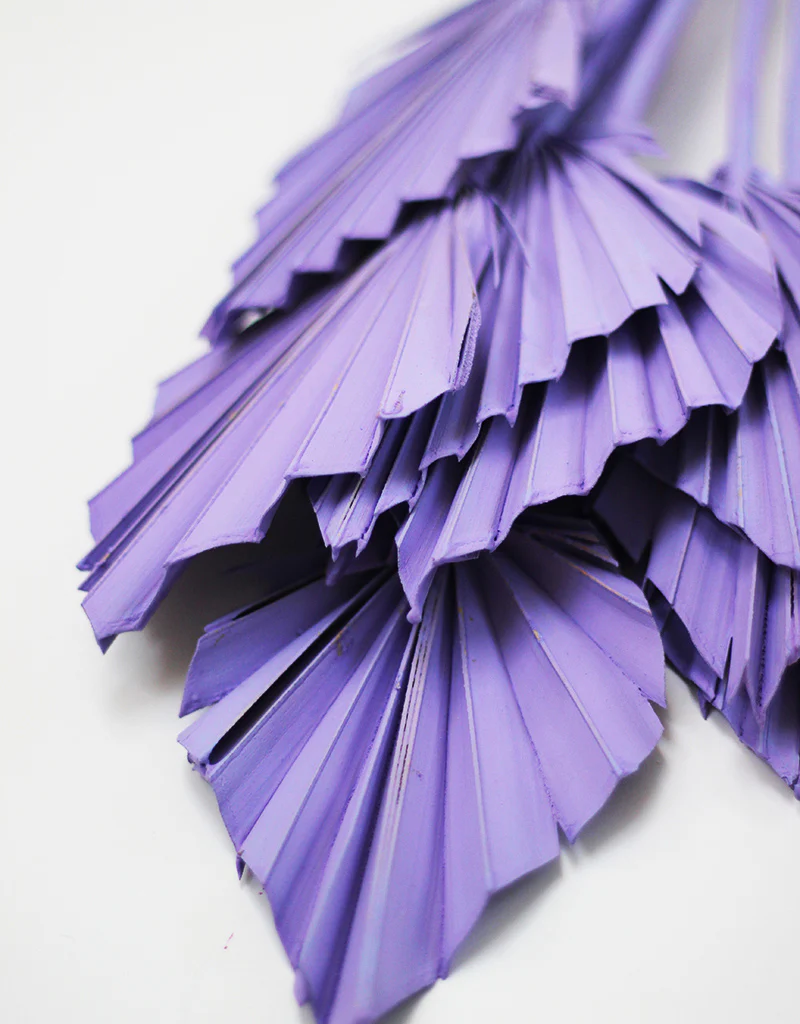 Dried Mini Palm Spears - Lilac, 10 Stems, 45cm - Image 3