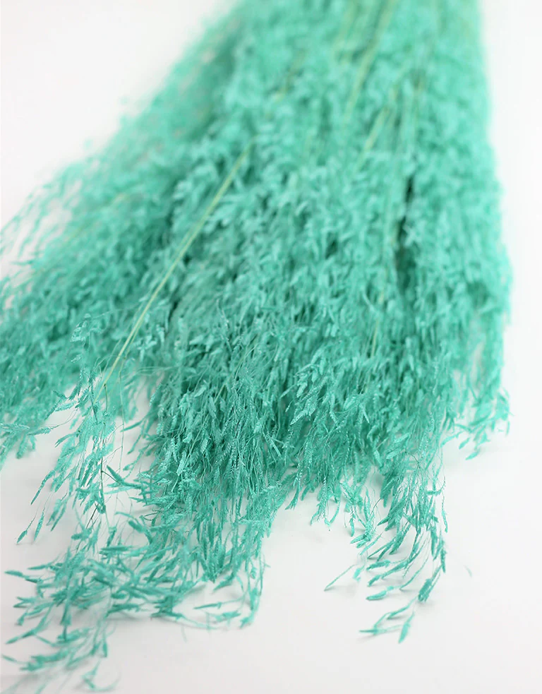 Dried Munni Grass - Aqua Blue Bunch, 65 cm - Image 3