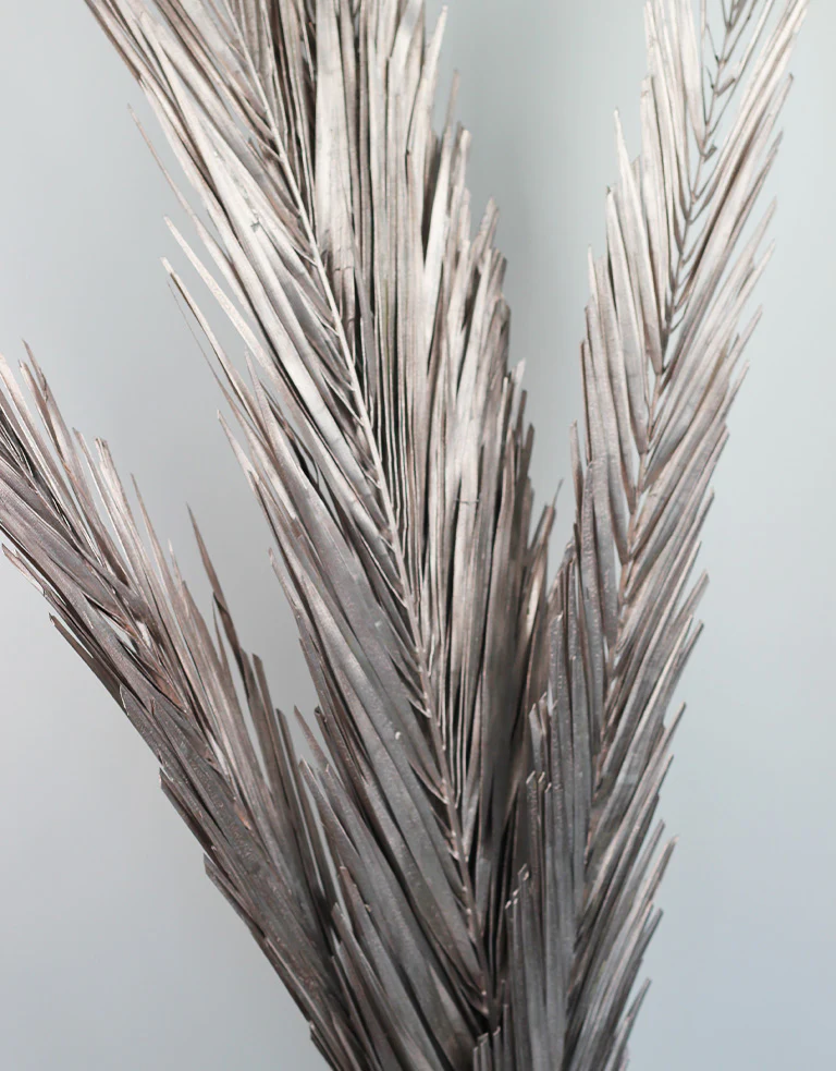 Dried Palm Leaf - Champagne, 3 Stems, 100 cm - Image 3