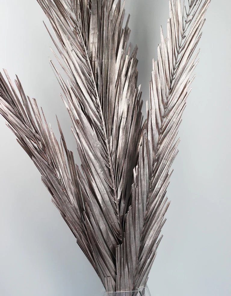 Dried Palm Leaf - Champagne, 3 Stems, 100 cm - Image 4