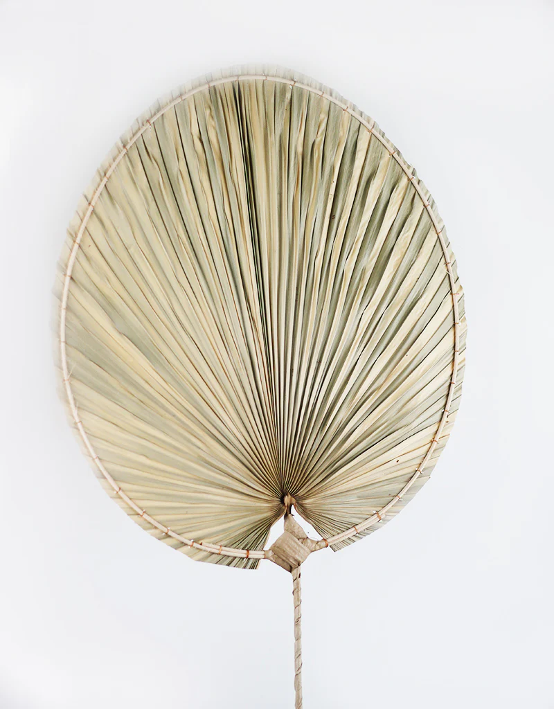 Dried Palm Leaf- Oval, 100cm length, 35 cm head width - Image 3