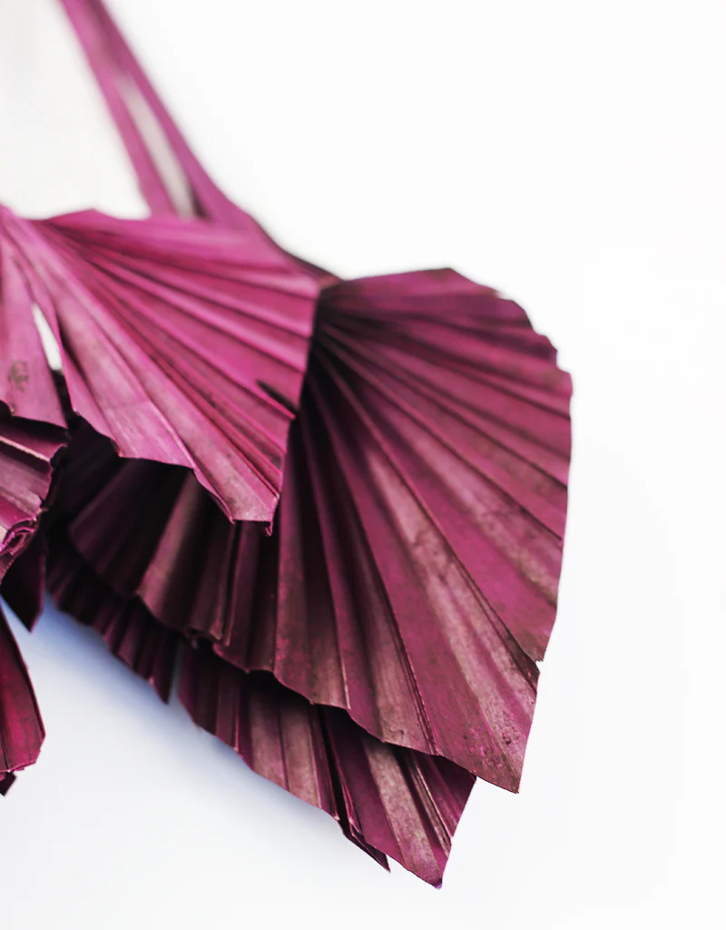 Dried Palm Spears - Aubergine, 10 Stems, 50 cm - Image 3
