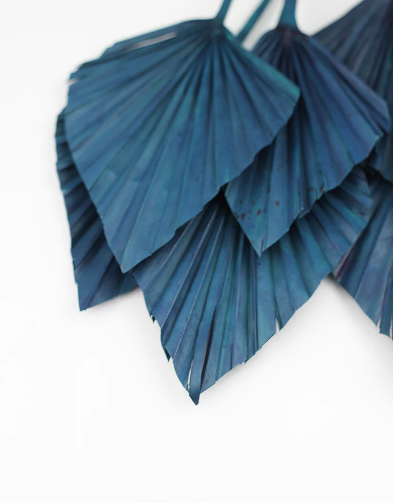 Dried Palm Spears - Dark Navy Blue, 10 Stems, 50 cm - Image 5