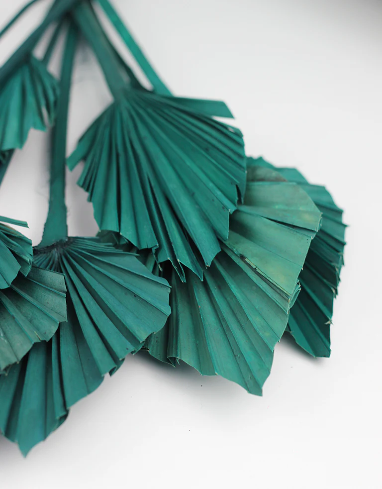 Dried Palm Spears - Sea Green, 10 Stems, 50 cm - Image 4