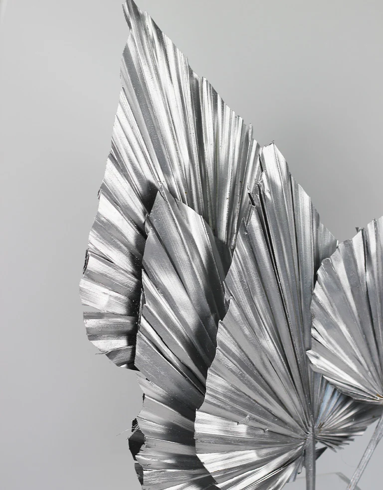 Dried Palm Spears - XL, Silver, 70 cm, 5 stems, 25 cm width - Image 3