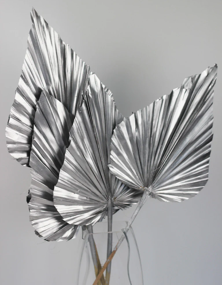 Dried Palm Spears - XL, Silver, 70 cm, 5 stems, 25 cm width - Image 4