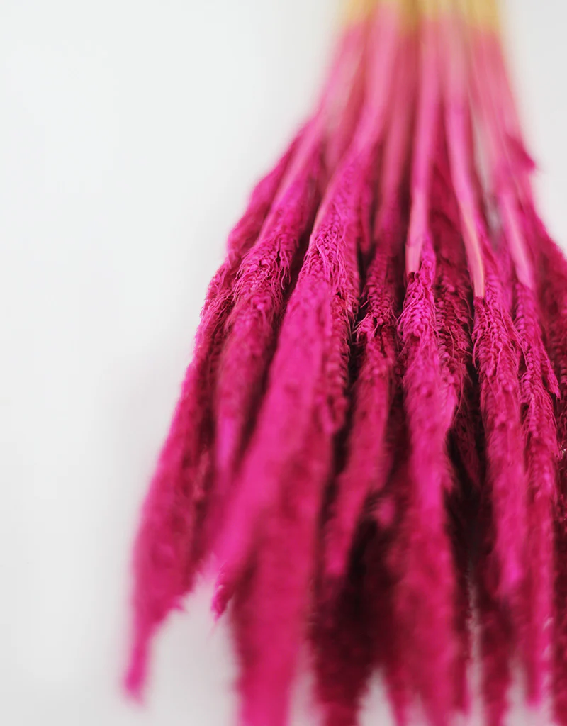 Dried Pinion Grass - Cerise Pink bunch, 60 cm - Image 3