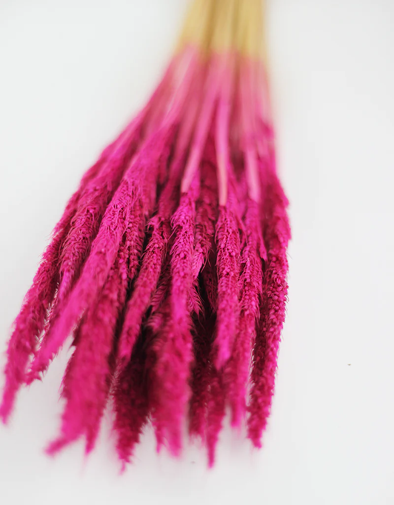 Dried Pinion Grass - Cerise Pink bunch, 60 cm - Image 4