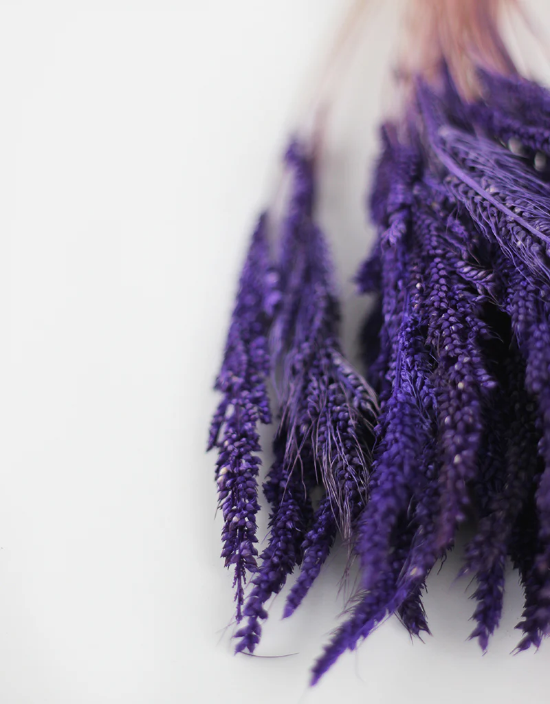 Dried Pinion Grass -  Purple bunch, 60 cm - Image 3