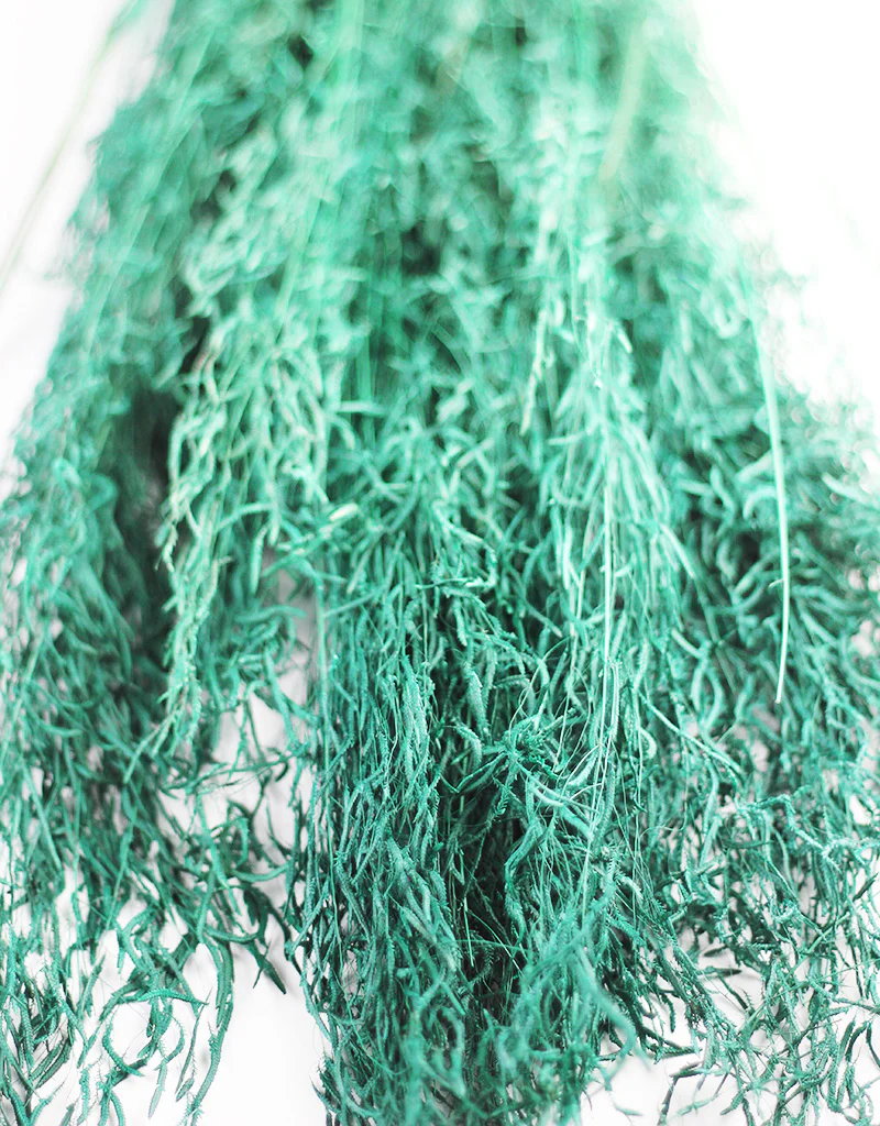 Dried Princess Grass - Emerald Green Bunch, 75 cm - Image 3
