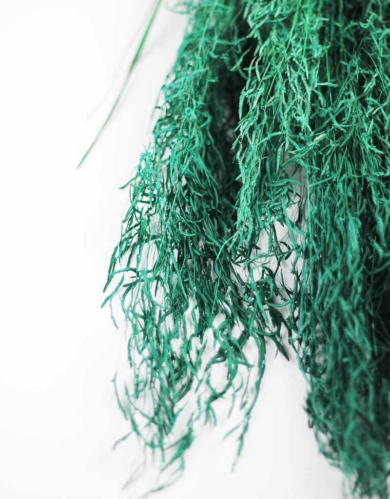 Dried Princess Grass - Emerald Green Bunch, 75 cm - Image 4