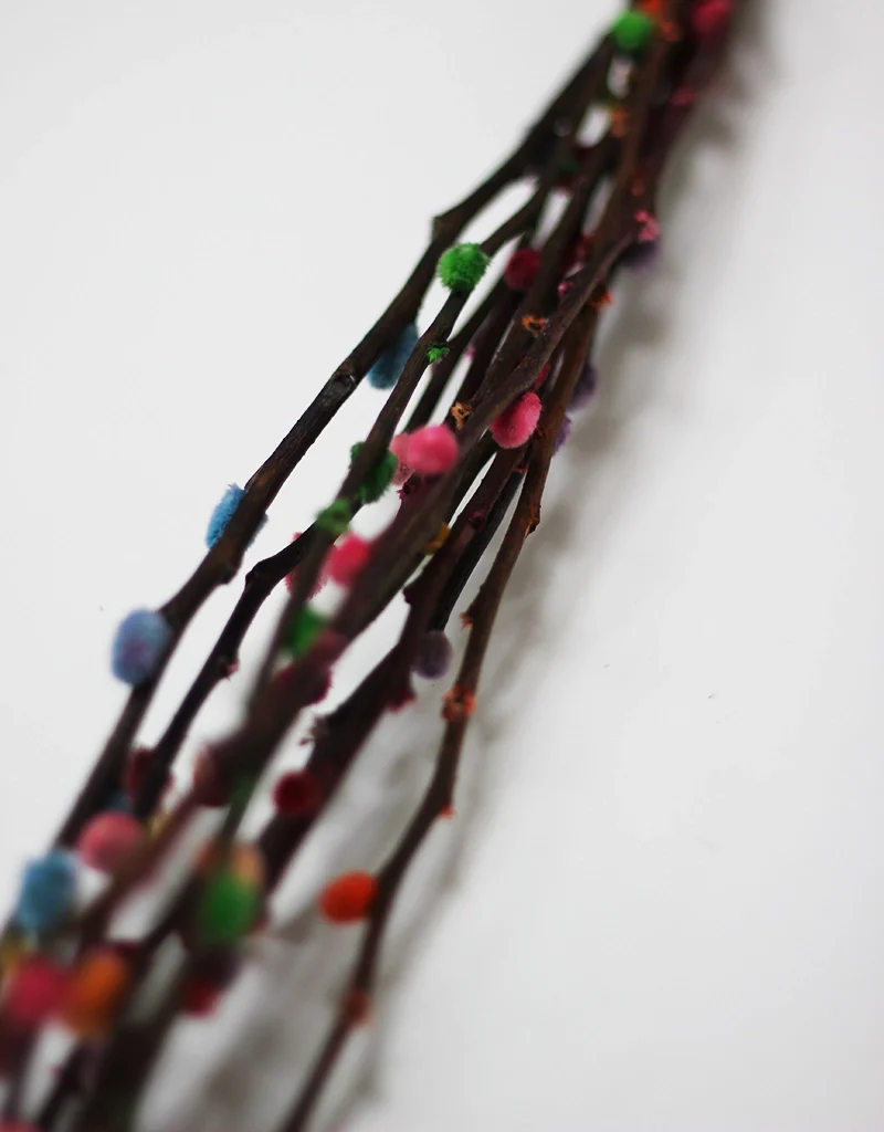 Dried Rainbow Pussy Willow - Rainbow, 10 stems, 60cm (Salix) - Image 3