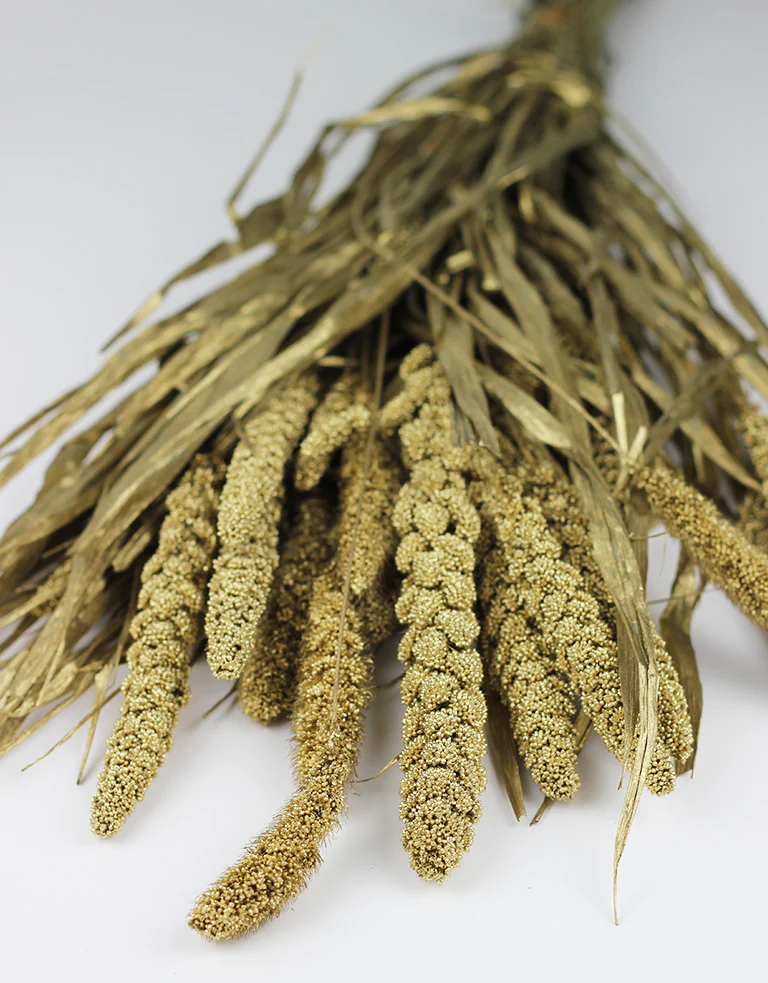 Dried Setaria - Gold Bunch,150 grams, 65 cm - Image 3