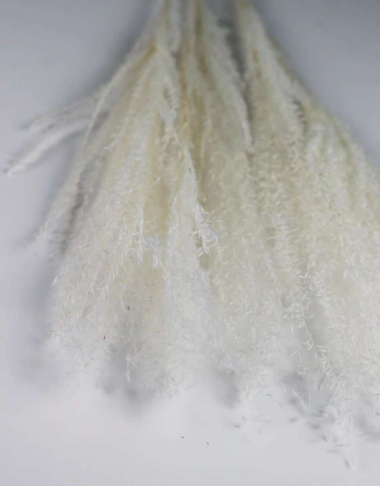 Dried Silver Grass - XL, Bleached Bunch, 5 Stems, 80 cm - Image 3