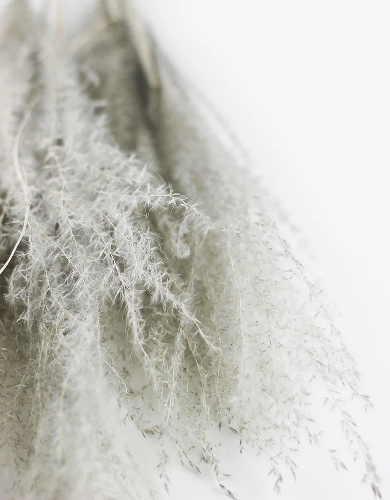 Dried Silver Grass - XL, Grey, 5 Stems, 80 cm - Image 3
