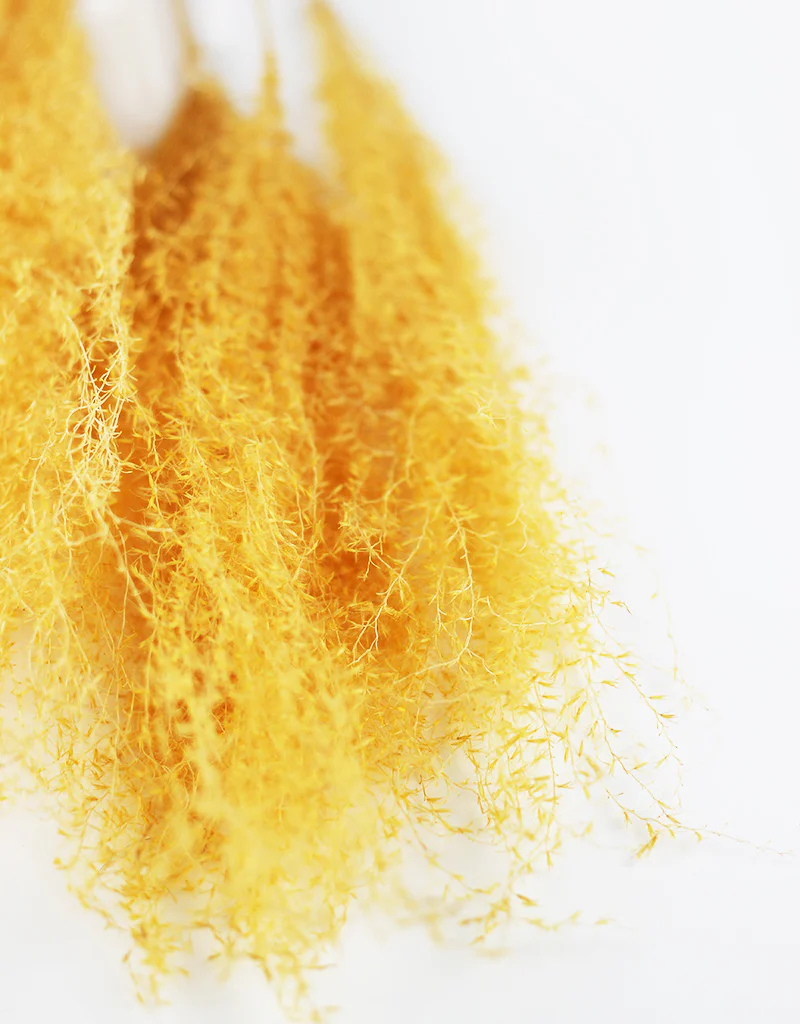 Dried Silver Grass Bunch - Yellow, 5 Stems, 80 cm - Image 3