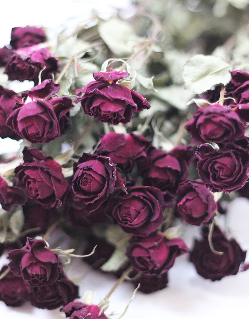 Dried Spray Roses Burgundy Red Flowers Bunch - 10 stems, 70cm - Image 3