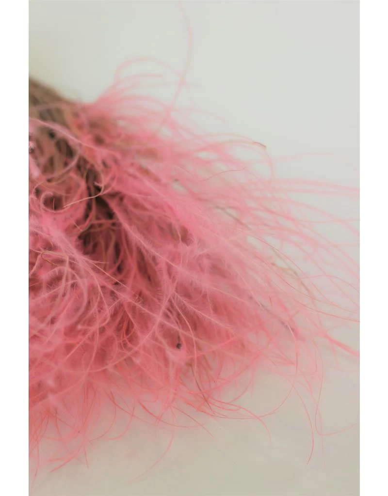 Dried Stypha Pennata - Light Pink, 50 cm - Image 3