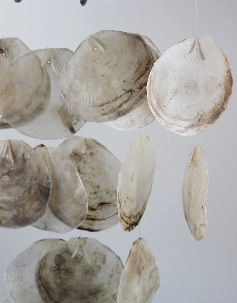 Hanging Flat Shell Décor, Natural, 70 cm Height, 45 cm width - Image 5