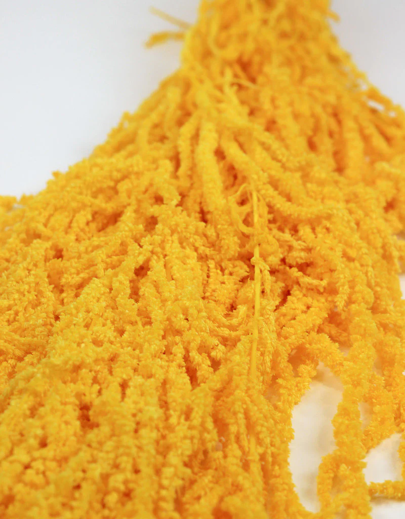 Preserved Amaranthus Caudatus - Yellow, 150 Gr/Bunch, 70 cm - Image 3