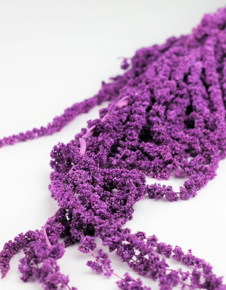 Preserved Amaranthus - Lilac Bunch,150 grams, 70 cm - Image 3
