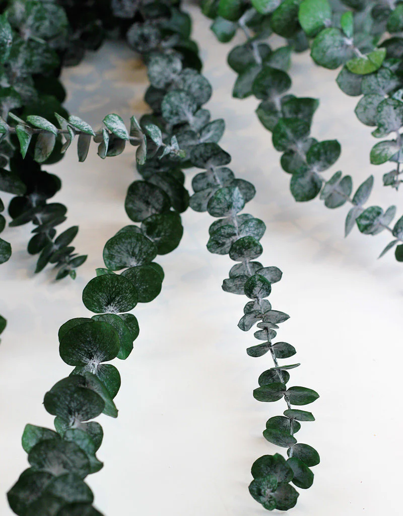 Preserved Eucalyptus - Baby Blue, Green Bunch, 60 cm - Image 3