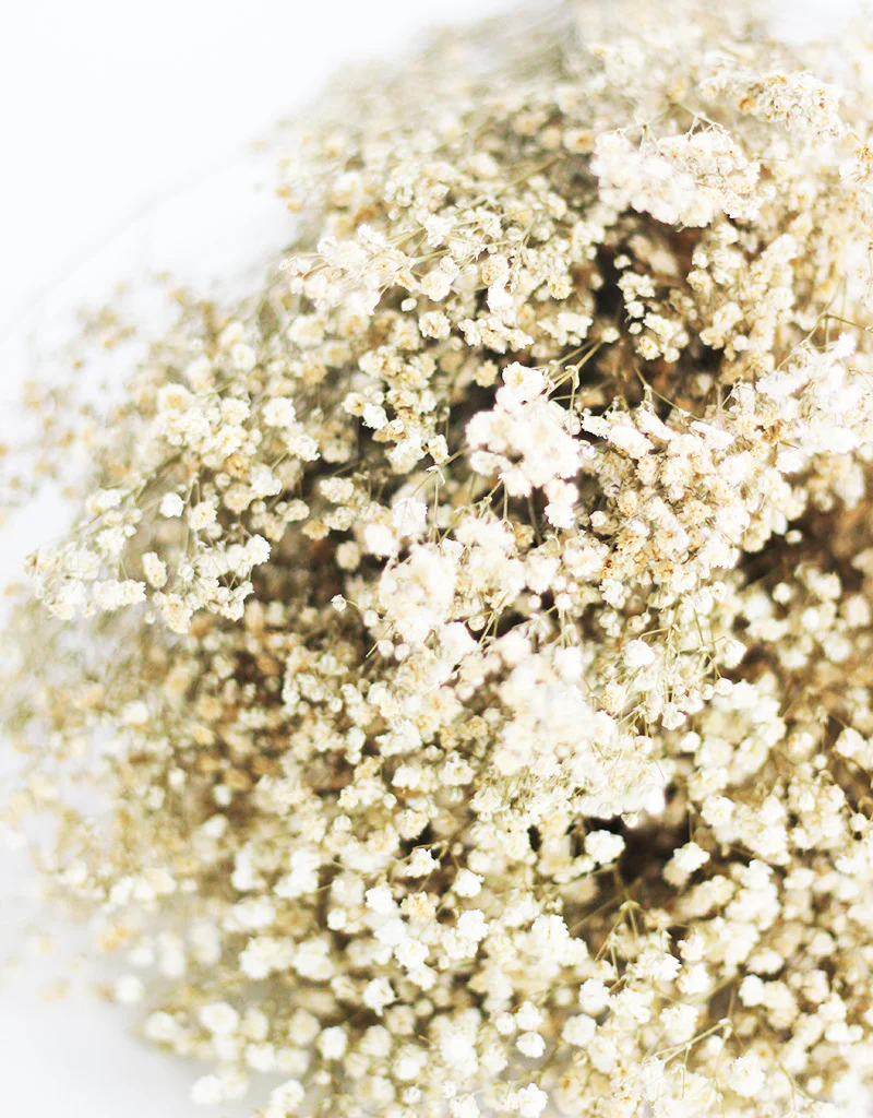 Preserved Gypsophila Flowers - Natural Variety bouquet, 200 grams, 70 cm - Image 3