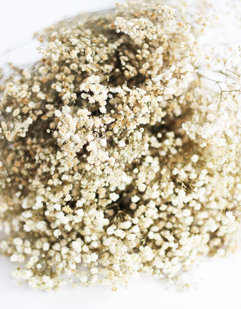 Preserved Gypsophila Flowers - Natural Variety bouquet, 200 grams, 70 cm - Image 5