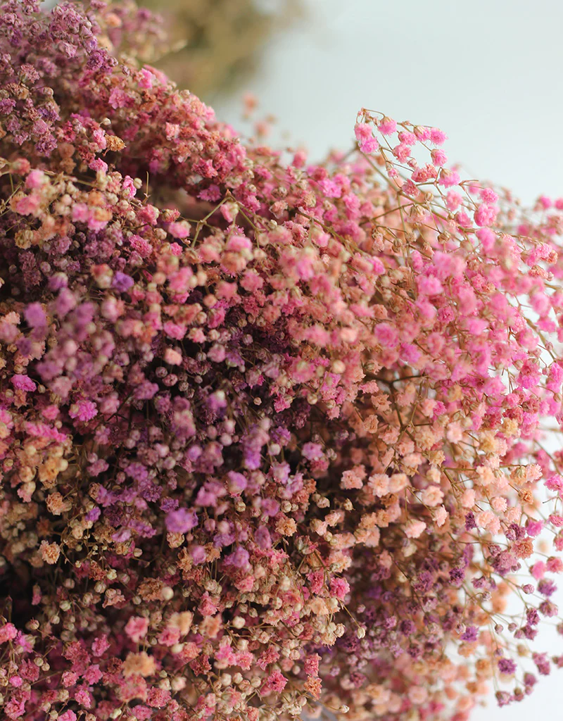 Preserved Gypsophila Flowers - Mixed Pink Variety bouquet, 200 grams, 55 cm - Image 3
