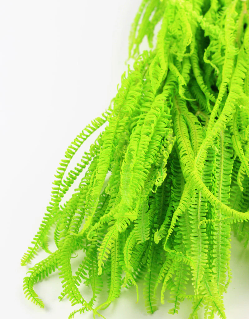 Preserved Helecho - Apple Green Bunch, 75 cm - Image 5