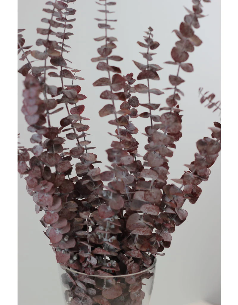 Preserved Baby Blue Eucalyptus - Red Bunch, 60 cm - Image 3