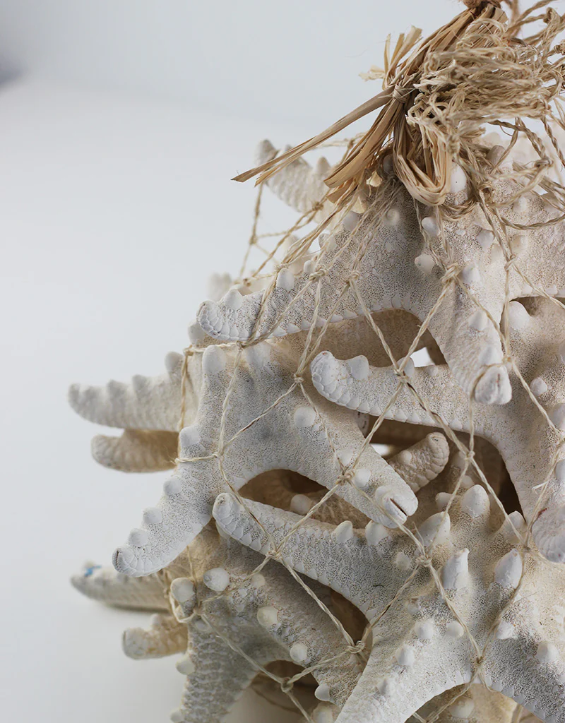 Star Fish Ornament, Natural, 20 cm Height, 25 cm width - Image 3