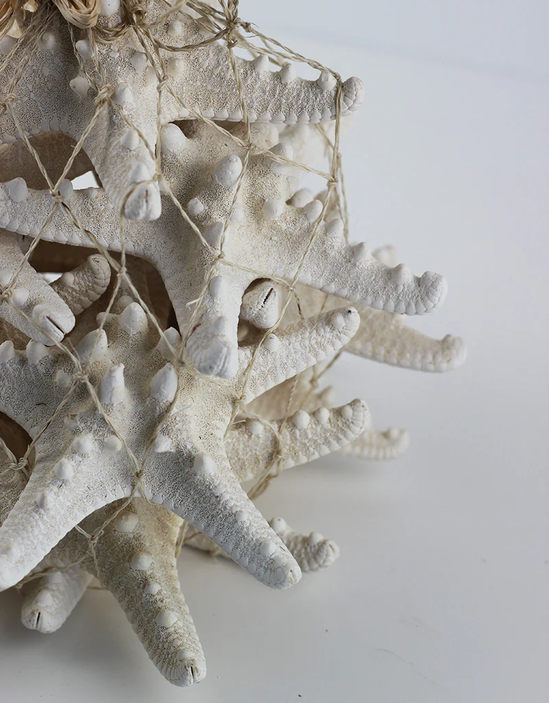 Star Fish Ornament, Natural, 20 cm Height, 25 cm width - Image 4
